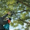 Makita UX01GZ Cordless Multi Function Power Head, 40Vmax XGT, BL-motor, AFT, 3-speed, 4,2kg, be akumuliatoriaus ir kroviklio