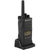 PMR Radijas MOTOROLA-XT-460 446.0 MHz ... 446.2 MHz