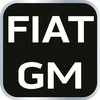 Neo Tools Rinkinys Variklių laikmačio nustatymo įrankių rinkinys Fiat/GM benzininiams varikliams