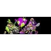 „Nintendo Amiibo“ figūrėlė „Inkling Girl“ („Splatoon“ kolekcija)