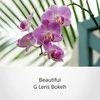 Objektyvas Lęšiai Sony E 18-105 mm f / 4 G OSS