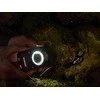 Olympus LG-1 LED šviesos vadovas, skirtas TG-1/2/3/4/5