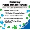 Ravensburger Dėlionė 3000 vnt. - Norvegija