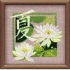 RIOLIS - Create It Yourself - Siuvinėjimo rinkinys „Vasara“ 811 (20x20 cm)