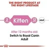 Royal Canin Kitten Jelly 12x85g