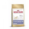 ROYAL CANIN Chihuahua junior 500g, čihuahua veislės jaunų šunų sausas pašaras