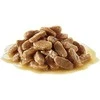 SHN Dog Mini Puppy Gravy 12x85 g