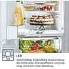 Šaldytuvas su šaldikliu BOSCH KGN33NWEB 176cm., No Frost