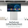 StarTech FPCEILPTBSP 32 "" lubų laikiklis - 75 "