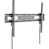 StarTech Laikiklis siena FPWTLTB1 60'' - 100''