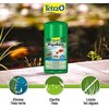Tetra Tvenkinio AlgoRem 1000ml