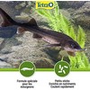 Tetra - Pond Sterlet Sticks 1L