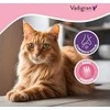 VADIGRAN kačių kraikas Clump Babypowder EU 12kg