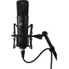 Warm Audio Šiltas audio wa-87 r2 juodas - kondensacinis mikrofonas