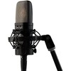 Warm Audio Šiltas audio wa-14 - kondensacinis mikrofonas