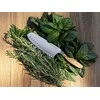 Wusthof Santoku peilis, 17 cm, Amici
