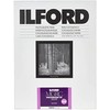 1x100 Ilford MG RC DL 1M 10x15