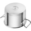 Zwilling Pro Tall puodas su dangteliu, 3,5 l