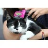 FURminator Furflex Galva dėl kovos su mažo dydžio katė L