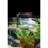 Hagen Fluval C2