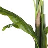 Beliani Dirbtinis augalas MUSA TREE 154 cm žalias