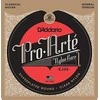 Stygos klasikinei gitarai D'Addario Pro-Arté EJ45 .028
