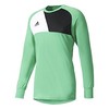adidas Assita 17 M AZ5400 vartininko marškinėliai