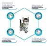 ADVANCE Kitten su vištiena ir ryžiais 1.5kg