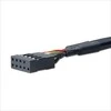 Akasa Adapteris intern USB 3.0 zu intern USB 2.0 – 15 cm