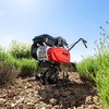 Dirvožemio ėdalas AL-KO Soil eater MH 540 AL-KO Deginimas 113970