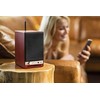 AudioEngine HD3 BT 30 W kolonėlės