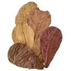 Amtra Pro Nature Catappa lapai 30vnt