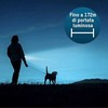 Ansmann LED žibintuvėlis kasdieniniam naudojimui 300B įsk. 2xBaby C 1600-0430