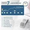 Ansmann Comfort mini įkroviklis su įsk. 2 AA Minjono šikšnosparnis. 2100 mAh
