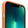 Apple iPhone 13 Pro Max Odinis dėklas su MagSafe, Rudas (Golden Brown)