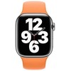 Išmaniojo laikrodžio Apple dirželis, Oranžinės spalvos, 41mm