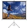 ART ER T120 4:3 ART rankinis Ekranas su stovu 4:3 120 244x183cm TS-120 4:3
