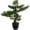 Atmosphera BONSAI ARTIF H80