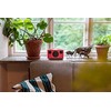 Audio Pro T3+ Nešiojama Bluetooth kolonėlė su akumuliatoriumi, Koralų spalvos