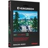Jack Audioquest Evergreen JR 1,0 m - garso kabelis su 3,5 mm jungtimi - 2 x RCA