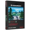 Audioquest Evergreen RR 1,0 m - garso kabelis 2 x RCA - 2 x RCA