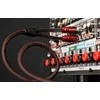 Audioquest Golden Gate RR 1,0 m – garso kabelis 2 x RCA – 2 x RCA