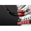 Audioquest Golden Gate RR 1,0 m – garso kabelis 2 x RCA – 2 x RCA