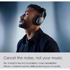 Bowers & Wilkins PX8 ausinės, Pilkšvos spalvos