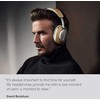 Bowers & Wilkins PX8 ausinės, Pilkšvos spalvos