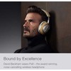 Bowers & Wilkins PX8 ausinės, Pilkšvos spalvos