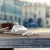 Tikrai belaidės ausinės Philips TAT2206WT/00, Baltos