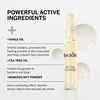 Babor Active Purifyier ampulės koncentratai, 14 ml