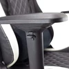Žaidimų kėdė White Shark Nitro GT Gaming Chair, Juoda-balta