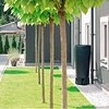 PROSPERPLAST "Maze" lietaus vandens rezervuaras, 240 l, Pilkas